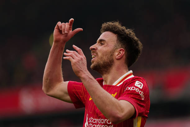 更是全人类 更是全人类